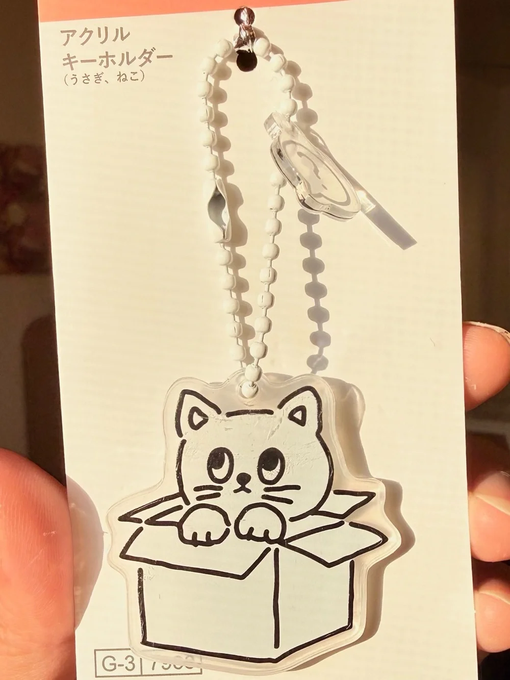 🔥Cat in Box a Charm/Keychain